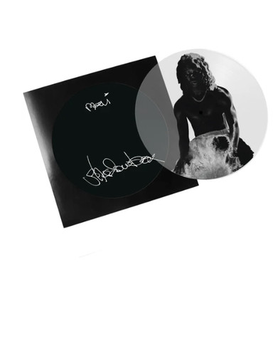 Mavi Shadowbox Vinyl LP Transparent Pic Disc New NEVER PLAYED /300 W/7" Flexi!